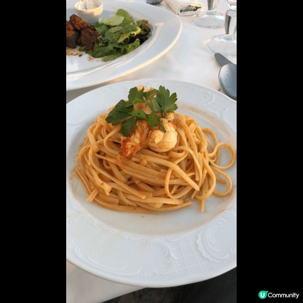 以上是我所去過的國家，例如：意大利、希臘、韓國 。
