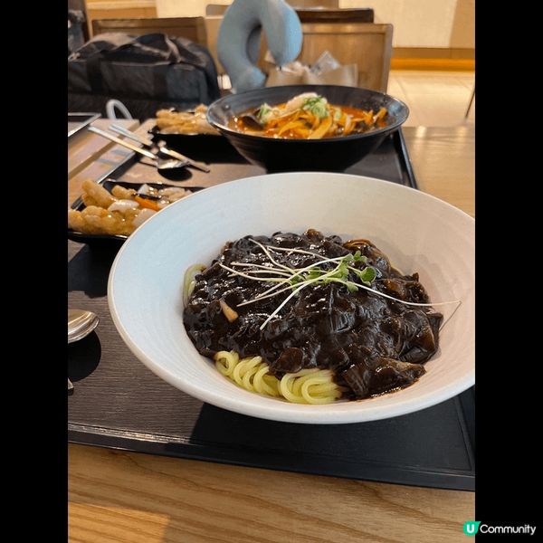 以上是我所去過的國家，例如：意大利、希臘、韓國 。
