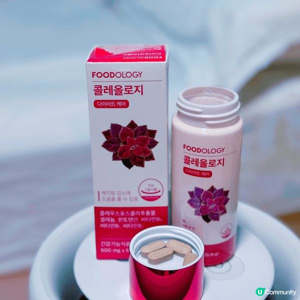 夏日👙  減肥大作戰💪🏻