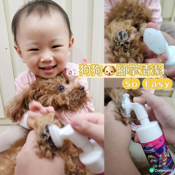 狗狗清潔腳仔神器