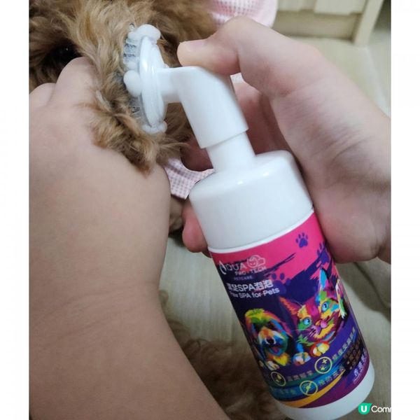 狗狗清潔腳仔神器