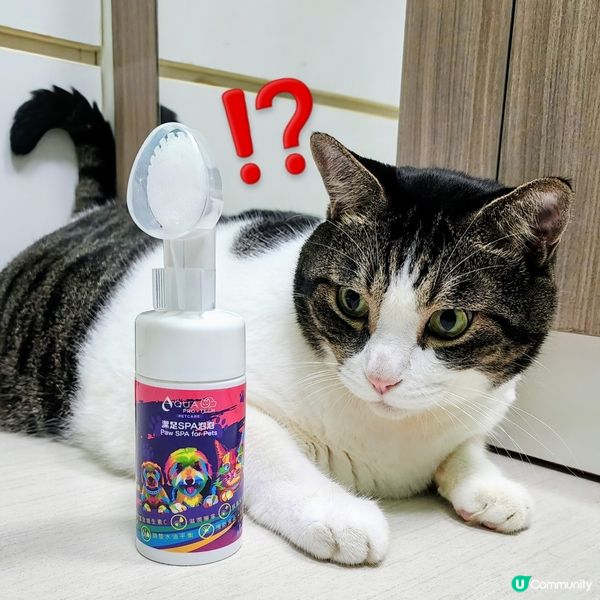 🐾 貓奴必備‼️肉球潔護泡泡🔥係時候幫主子💥洗腳😎