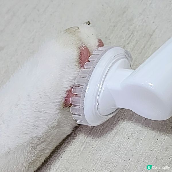 🐾 貓奴必備‼️肉球潔護泡泡🔥係時候幫主子💥洗腳😎