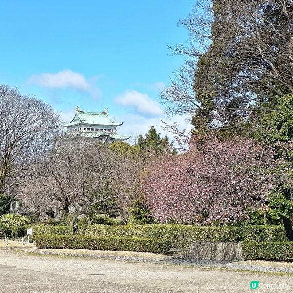 🇯🇵名古屋城堡🏯本丸御殿💁‍♂️