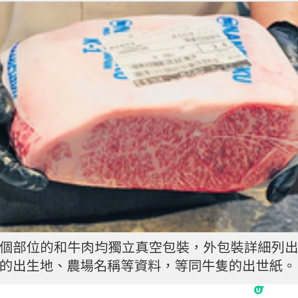 日本過江龍 Yakiniku USHIO赤身 燒肉 獨家引入