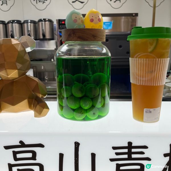 🤪青歡新嘗試，柚見青梅好清新！🍋🍹