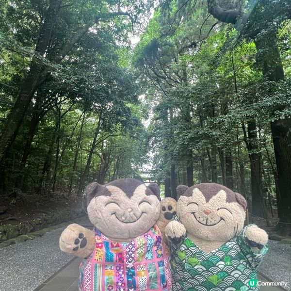 霧島神宮⛩️心靈洗禮