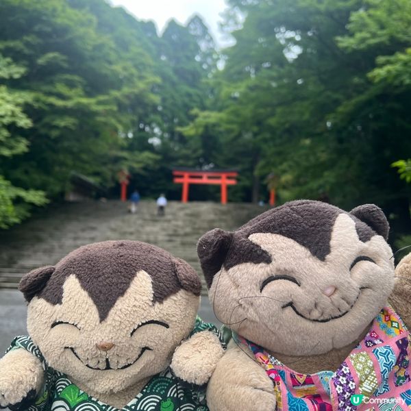 霧島神宮⛩️心靈洗禮