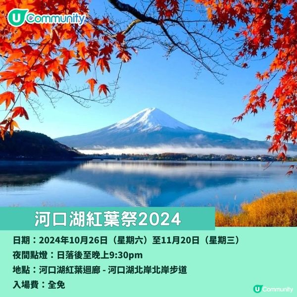 日本紅葉2024 河口湖紅葉祭🍁楓葉迴廊／賞楓景點＋交通攻略🚌