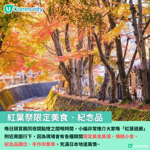 日本紅葉2024 河口湖紅葉祭🍁楓葉迴廊／賞楓景點＋交通攻略🚌