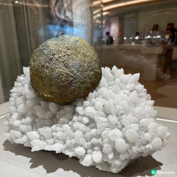 免費礦石展覽 增長知識擴闊視野