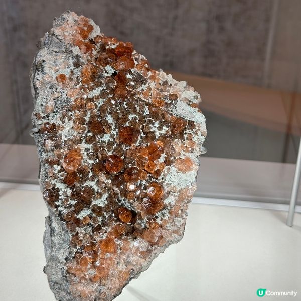 免費礦石展覽 增長知識擴闊視野