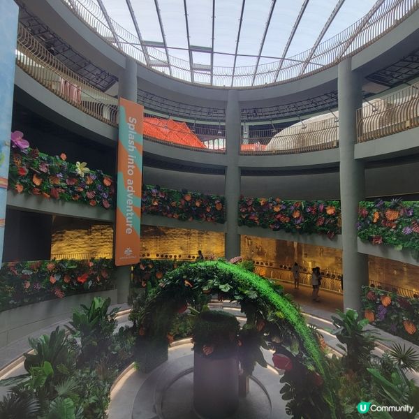 【Stay HK】趕黎OP 尾水，捉緊夏天尾巴 🌊