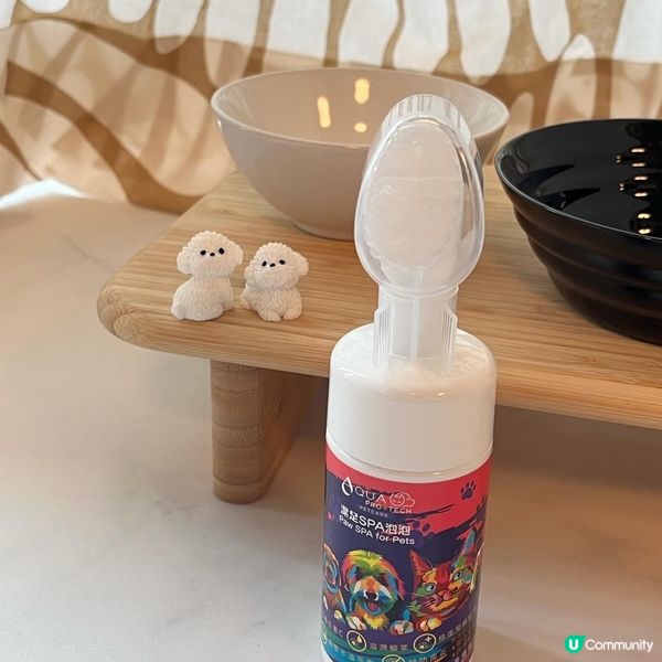 毛孩出完街 梗係要做SPA