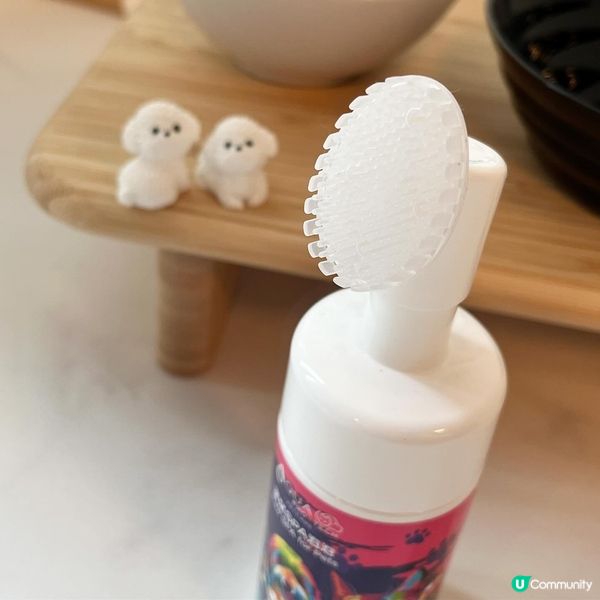 毛孩出完街 梗係要做SPA