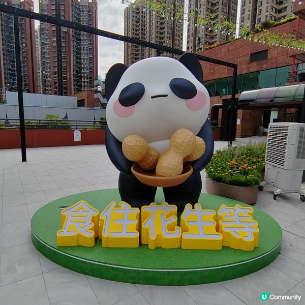 熊貓熱潮襲港🐼 沙田新城市廣場變身熊貓樂園！