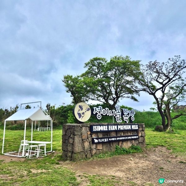 🇰🇷韓國濟州島牛奶牧場