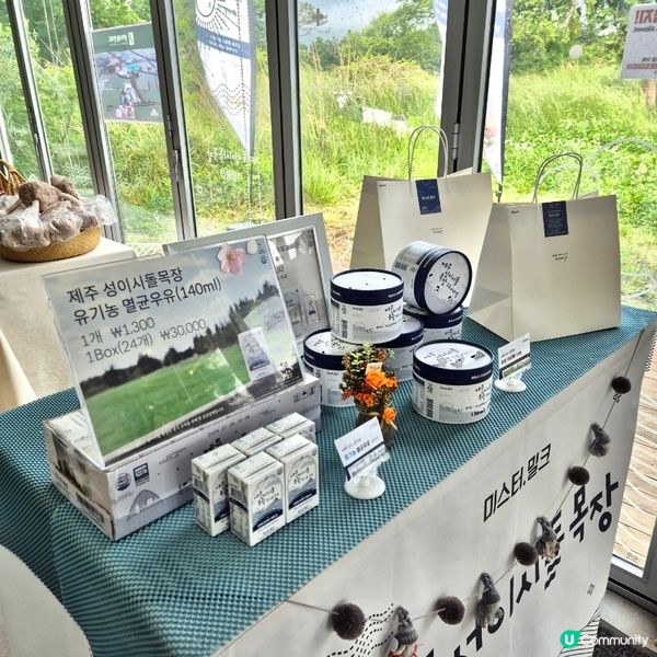 🇰🇷韓國濟州島牛奶牧場