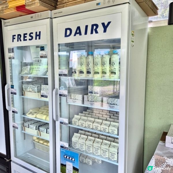 🇰🇷韓國濟州島牛奶牧場