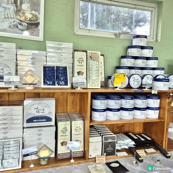 🇰🇷韓國濟州島牛奶牧場