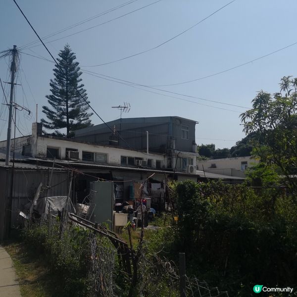 梅窩去愉景灣行山