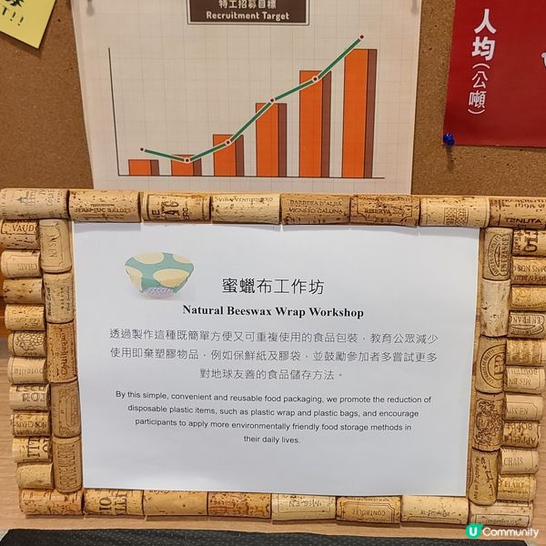 識碳館打卡日！👻  
識碳鬼鬼毛公仔抱返屋企啦！🧸