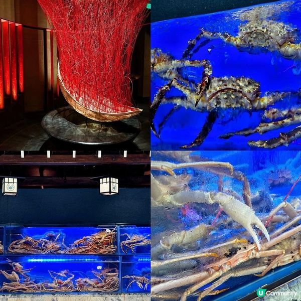 🤤 勁抵價吃松葉蟹宴! 一蟹六吃