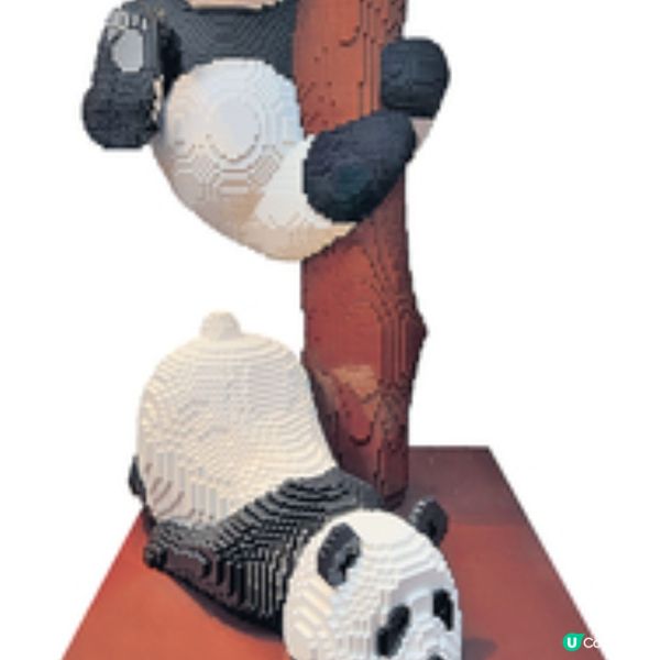 全球最大《清明上河圖》樂高模型 登場 逾千年輕人合作挑戰健力