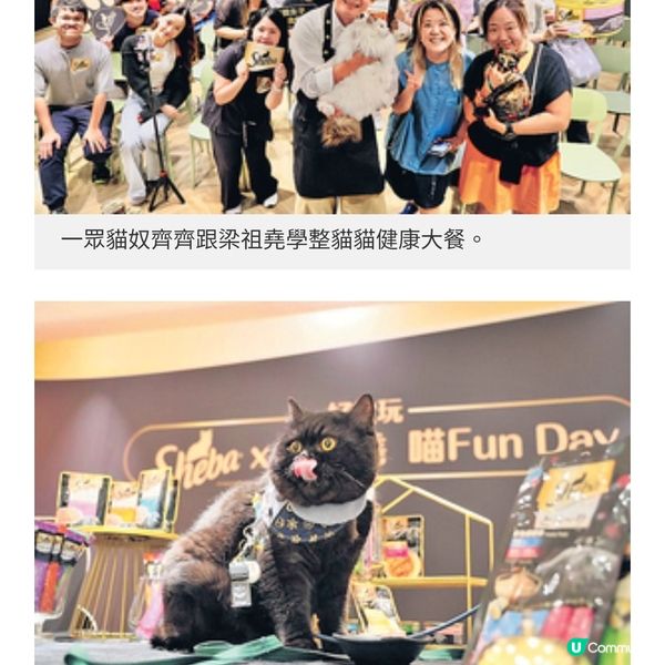 星級貓奴廚師梁祖堯教煮3道喵 芝蓮健康大餐