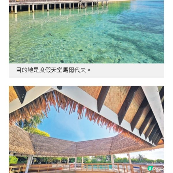 獨家直擊全港首個盲盒旅行團 周國賢同行 團友上機始知目的地