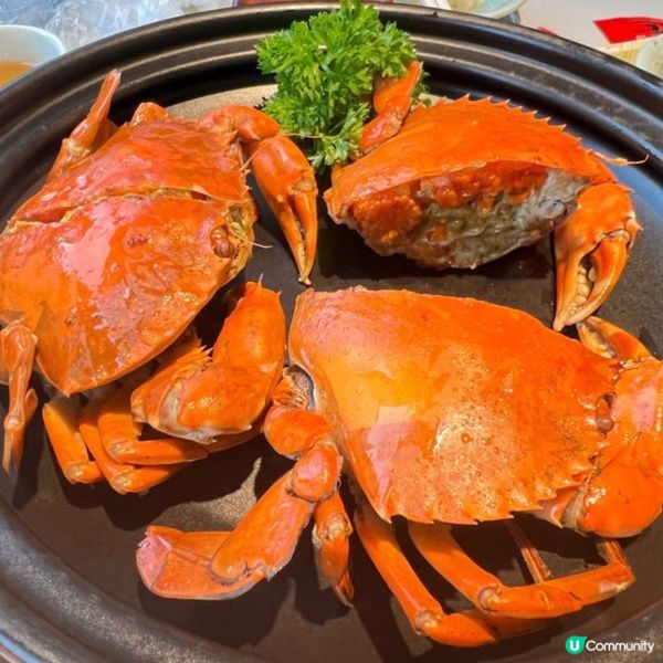 秋風起，又到食大閘蟹的季節了😋