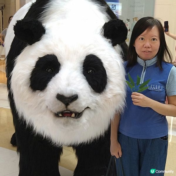 給「大熊貓」來個小型「頭盤」令「牠」在中秋時節「笑口常開」之...