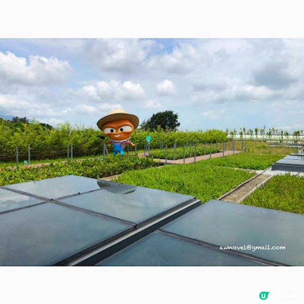 (郊遊記) 我唔要做大嘥鬼! 起動參觀O · PARK1，一起減少製造廚餘