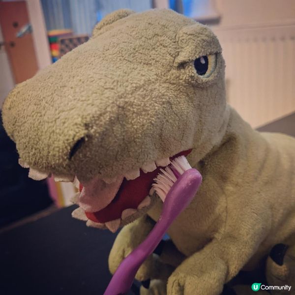 在英國，BB也要看牙醫