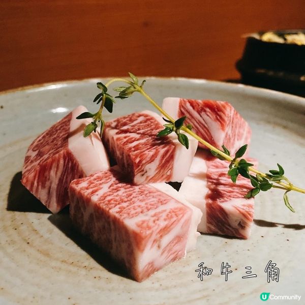 【美食】超高質韓牛 愈邪惡嘅野通常越好食•灣仔韓牛Omakase