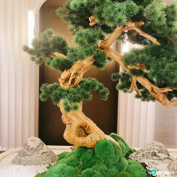 【美食】枱上三分鐘 枱下十年功•銅鑼灣高質精緻中菜