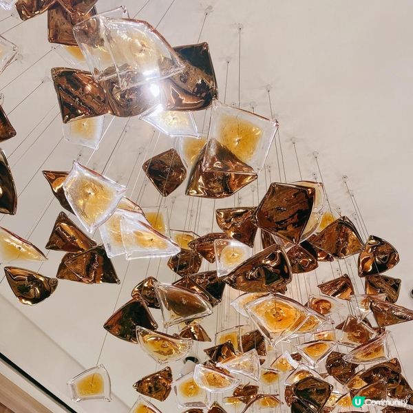 【美食】枱上三分鐘 枱下十年功•銅鑼灣高質精緻中菜