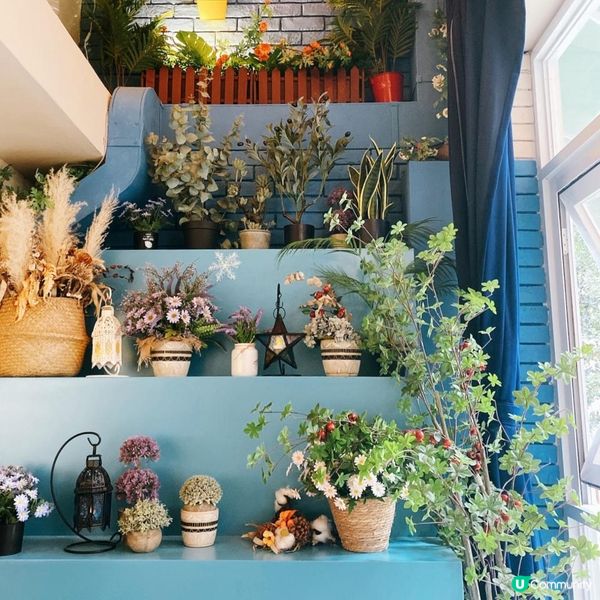 【美食】休閒午餐 品味生活•上環超隱世Cafe