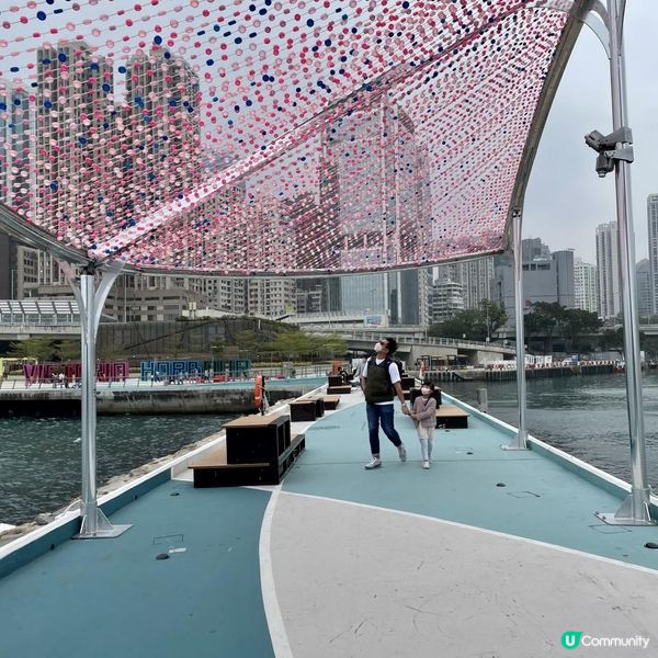 搭車見得多，究竟海邊呢舊咩東東？