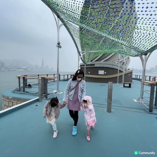 搭車見得多，究竟海邊呢舊咩東東？