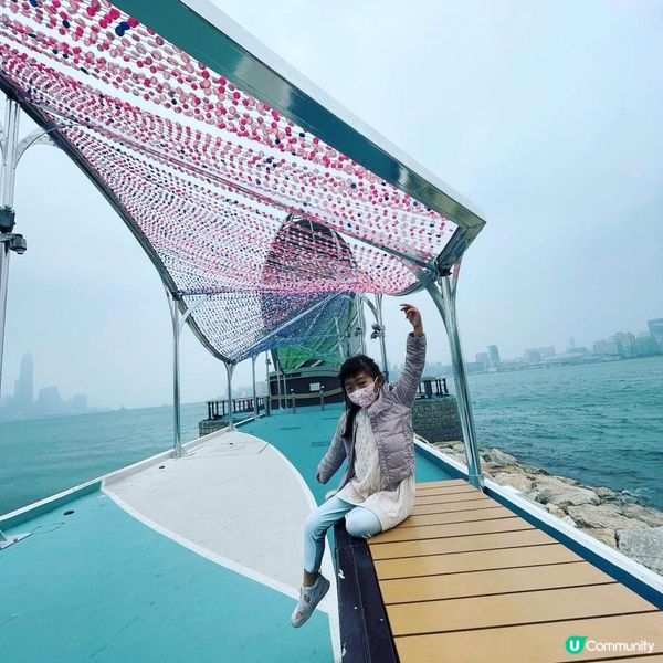 搭車見得多，究竟海邊呢舊咩東東？