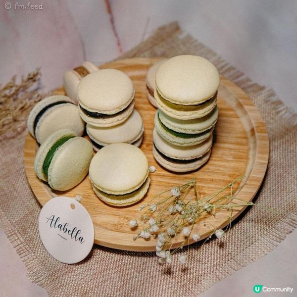 • 𝐀𝐥𝐚𝐛𝐞𝐥𝐥𝐚 𝐑𝐢𝐜𝐡 𝐓𝐞𝐚 ...