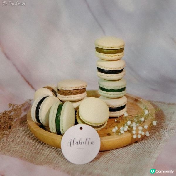 • 𝐀𝐥𝐚𝐛𝐞𝐥𝐥𝐚 𝐑𝐢𝐜𝐡 𝐓𝐞𝐚 ...