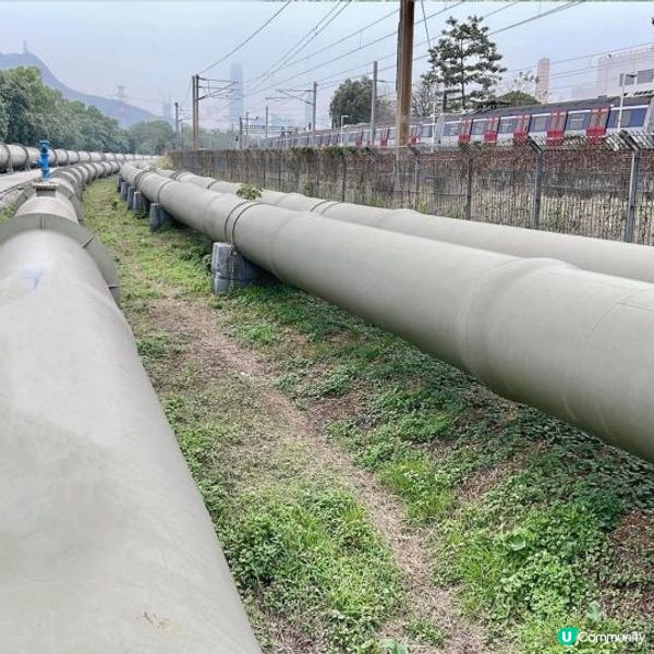 【媽媽的神奇之路】進入電影「媽媽的神奇小子」拍攝場地丨火車迷必到的打卡熱點丨輕鬆行山路線介紹