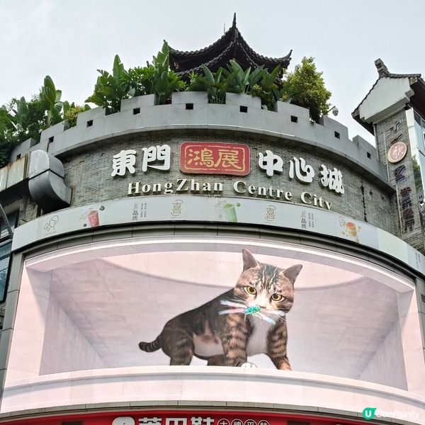 深圳之旅，羅湖配眼鏡超抵！👓💰