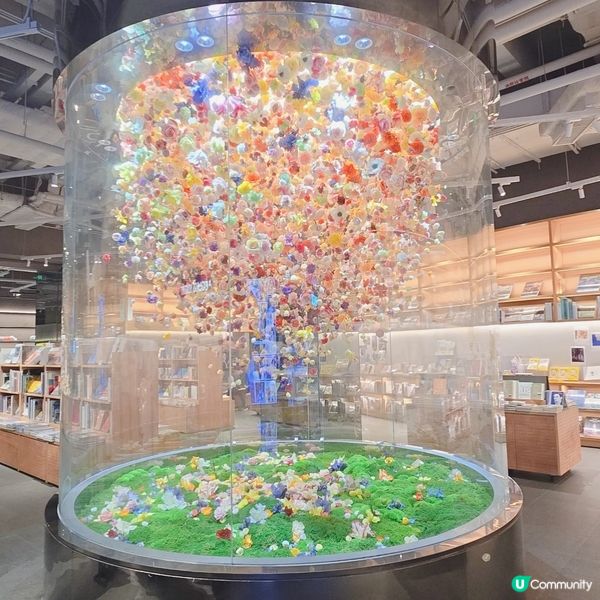 深圳版～蔦屋書店