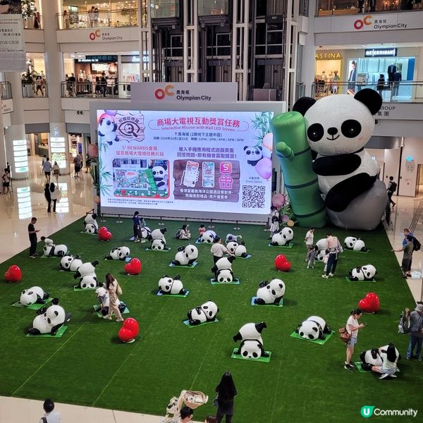 熊貓裝飾度度有