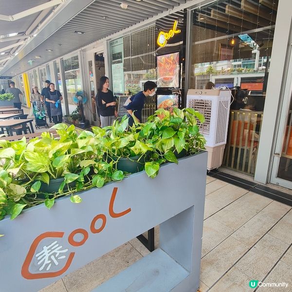 泰Cool😎
