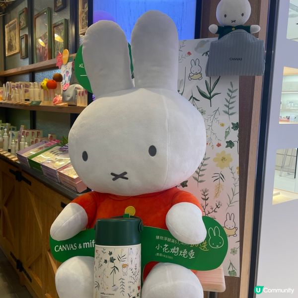 🛍️ 抗氧煥肌套裝勁抵買！🤩