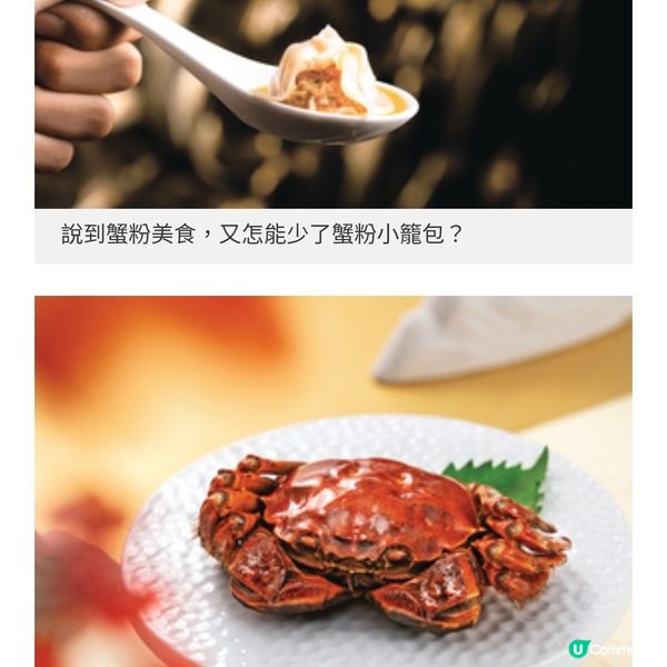 秋風起 大閘蟹菜式出爐!